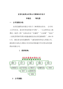 宜昌薪酬設計 (doc 12)