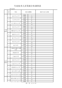 专业技术人员统计(下发版)