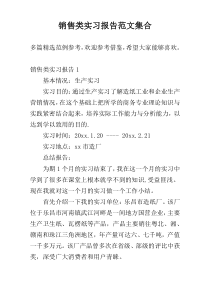 销售类实习报告范文集合