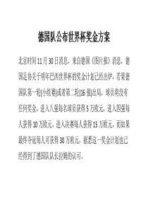 德国队公布世界杯奖金方案