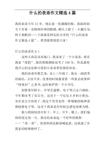 什么的表弟作文精选4篇