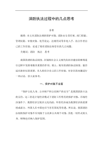 消防执法过程中的几点思考(doc11)(1)