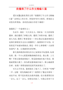 我懂得了什么作文精编5篇