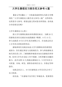 大学生暑假实习报告范文参考4篇