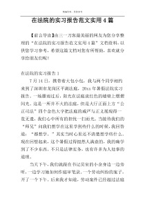 在法院的实习报告范文实用4篇