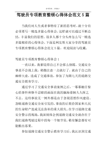 驾驶员专项教育整顿心得体会范文5篇