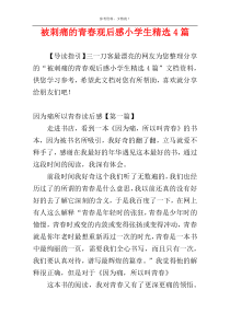 被刺痛的青春观后感小学生精选4篇