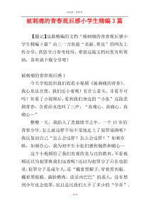 被刺痛的青春观后感小学生精编3篇