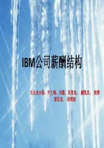 毛毛虫--IBM公司薪酬结构