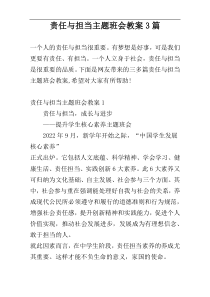 责任与担当主题班会教案3篇