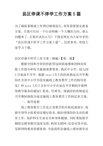 县区停课不停学工作方案5篇