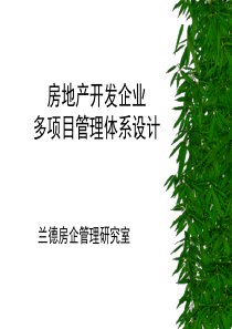 房地产多项目管理体系