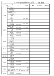 竞争对手薪资调查表