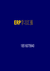 ERP心理学资料