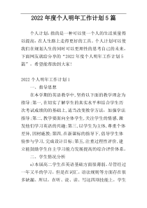 2022年度个人明年工作计划5篇