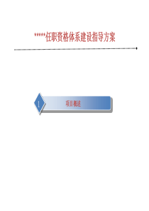 任职资格体系建设建议方案220