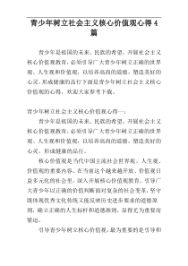 青少年树立社会主义核心价值观心得4篇