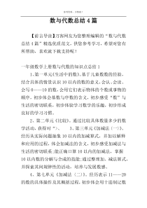 数与代数总结4篇