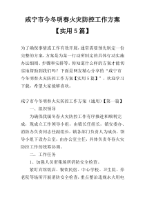 咸宁市今冬明春火灾防控工作方案【实用5篇】