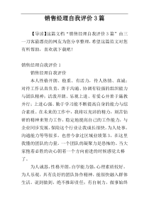 销售经理自我评价3篇