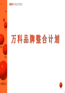 万科品牌整合计划(PPT20)(1)