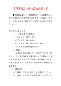 春节期间工作总结范文实用3篇