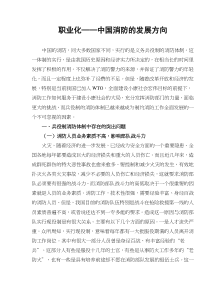 职业化中国消防的发展方向(doc9)(1)