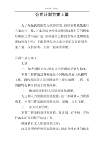 公司计划方案5篇