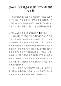 [600字]公司财务人员下半年工作计划通用4篇