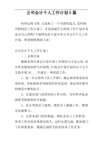 公司会计个人工作计划5篇