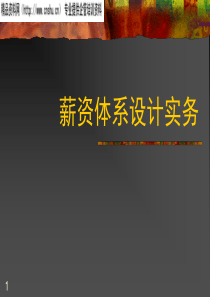 薪资体系设计实务(ppt58)(1)