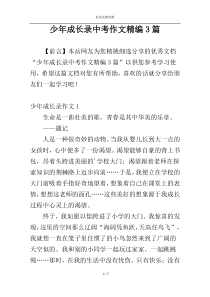 少年成长录中考作文精编3篇