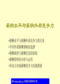 薪酬水平与薪酬外部竞争力(ppt 53)(1)