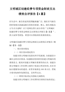 文明城区创建经费专项资金财政支出绩效自评报告【4篇】