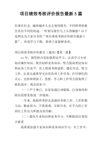 项目绩效考核评价报告最新5篇