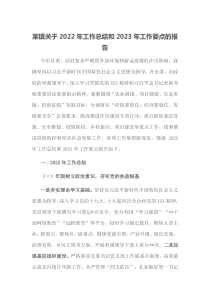 某镇关于2022年工作总结和2023年工作要点的报告