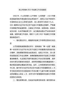 公司党委2022年巡察工作总结报告