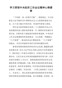 学习贯彻中央经济工作会议精神心得感想