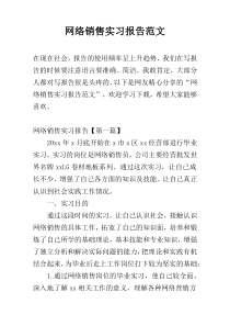 网络销售实习报告范文