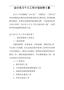 会计实习个人工作计划安排5篇