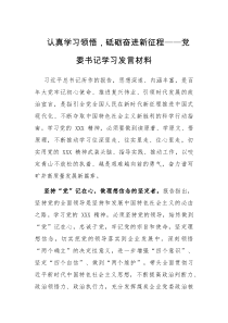 认真学习领悟砥砺奋进新征程党委书记学习发言材料