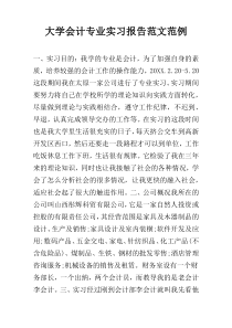 大学会计专业实习报告范文范例