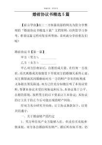 婚前协议书精选5篇