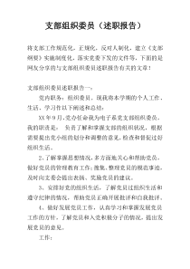 支部组织委员（述职报告）