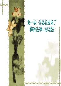 劳动法概述（PPT42页)