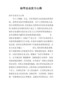 标竿企业实习心得