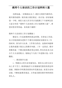 教师个人培训的工作计划样例5篇