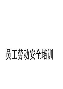 员工劳动安全培训（PDF73页）