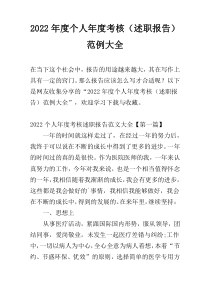 2022年度个人年度考核（述职报告）范例大全