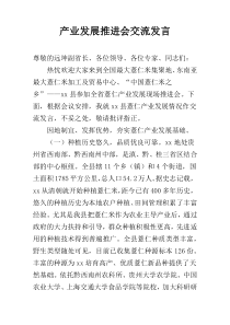 产业发展推进会交流发言